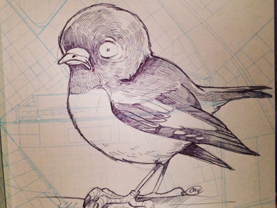 Black Robin Dribb bird character design oneadaytil30 robin