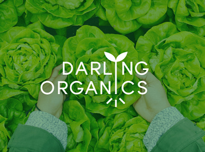 Darling Organics Logo branding design farming graphic design logo organic
