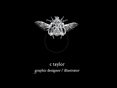Personal Logo for Carolyn Taylor branding bugs design freelancer graphic design graphic designer illustration illustration art illustrator logo logodesign