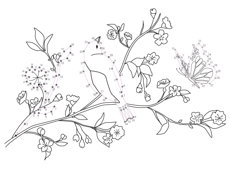 Kids Activity Page - Connect the Dots kids connect the dots illustration bird