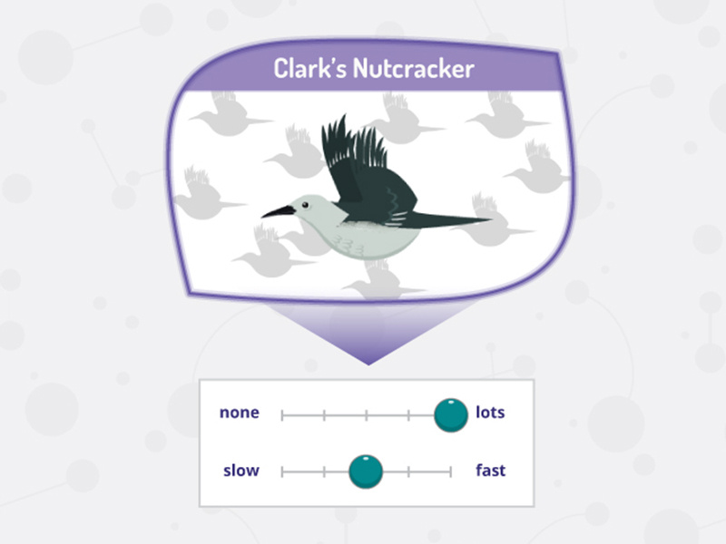Game Customization Screen - Predator kids game design ui ux