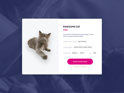 Daily UI Challenge 002 002 cart cat checkout dailyui form pawsome payment