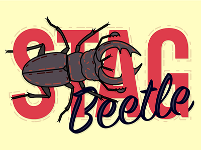 Stagbeetle illustration