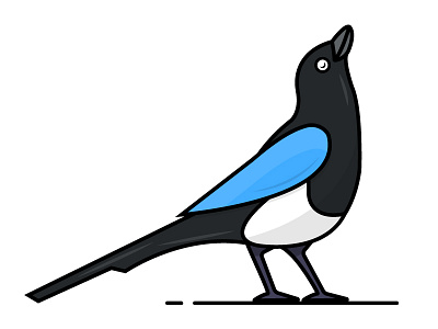 Magpie 2 illustration simple vector