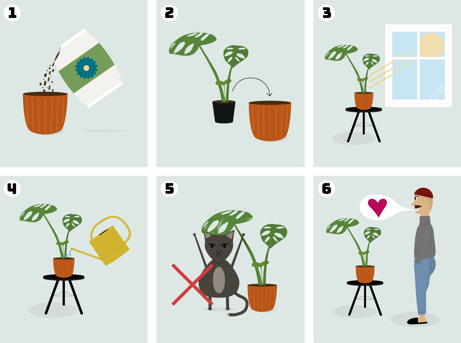 HOW TO KEEP YOUR HOUSE PLANT ALIVE by Amanda Fröhling Lind on Dribbble