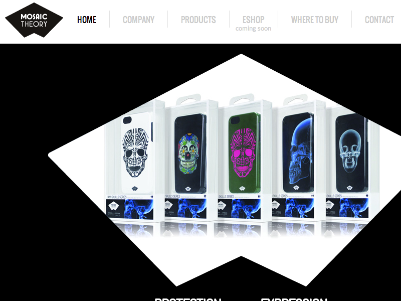 Mosaic Theory website website design web homepage