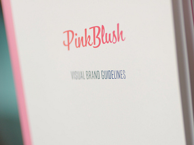 PinkBlush Visual Brand Guidelines brand guidelines brand strategy branding collateral discovery fashion feminine flirty focus lab maternity photography pink