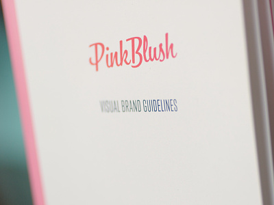 PinkBlush Visual Brand Guidelines