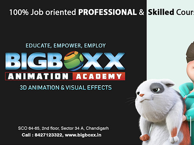 professional Animation Course with bigboxx1