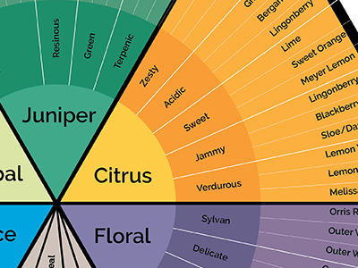 Gin Tasting Diagram