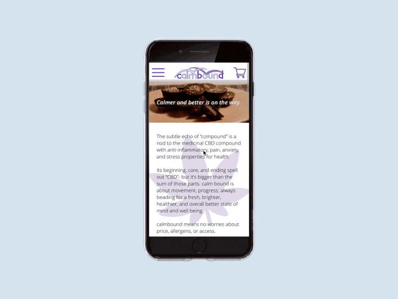 Homepage on Mobile e-commerce design mobile ui prototype