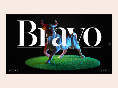 Concept website Bravo