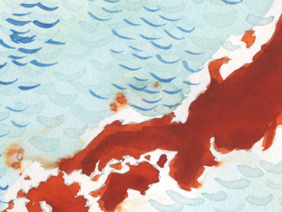 Map of Japan (projection for a show) japan map water water color waves