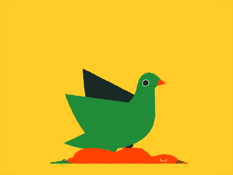 Dead Bird bird illustration motion