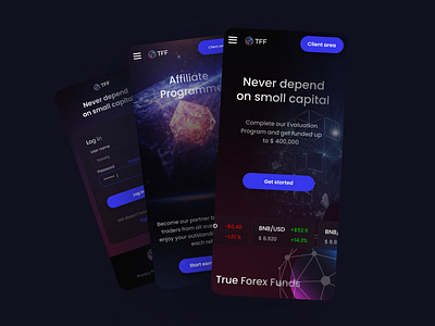 Perfect TrueForexFunds graphic design ui ux