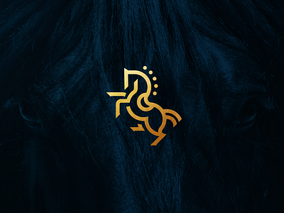 Pedro Margalho - Equine Veterinary brand branding horse identity logo logo design veterinary visual