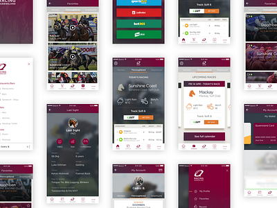 Racing Queensland app bet horse mobile race ui ux wallet