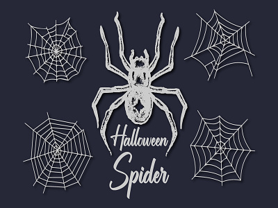 Halloween Black Widow Spider and Icon Vector