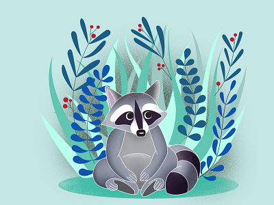 Racoon in a forest