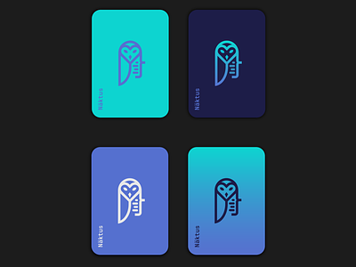 Näktus Logo & Basic Color Scheme Selection 3