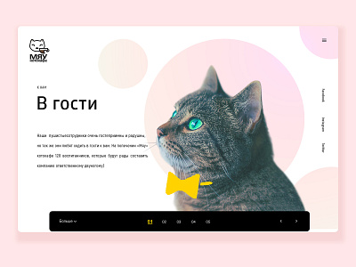 Meow time-cafe website anticafe cat cute design page pink ux web