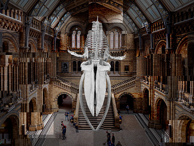 The blue whale in Hintze Hall 3d hintze hall natural history museum website whale
