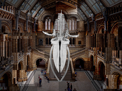 The blue whale in Hintze Hall