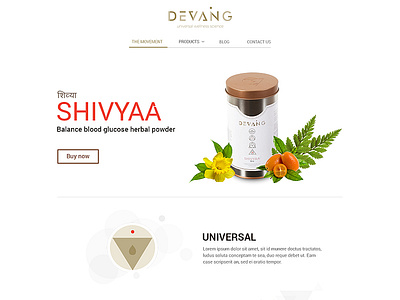 Meditation Website Concept branding conceptual design ecommerce health meditation product page web web design website concept website design websites