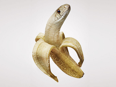 Forbidden Fruit banana fruit photo manipulation snake