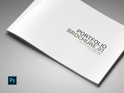 Portfolio Brochure a4 architecture book booklet branding brochure business clean design designer elegant fashion minimal photo photographer photoshop portfolio template ui