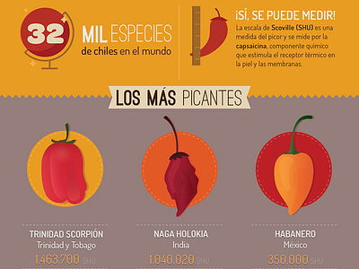 Chili WIP chili hot infographics red