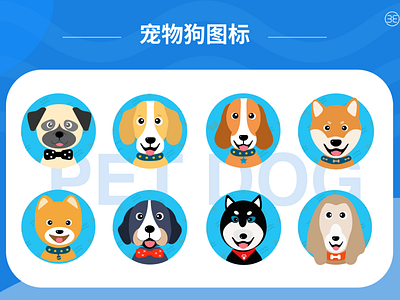 Pet dog afghan hound alaska bagudog bagudog beagle bernese mountain dog dogs pomeranian shar pei shiba inu