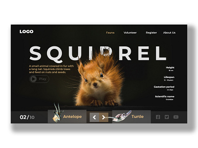 Animal Landing Page branding coronavirus design illustration trend typography ui uiux ux web