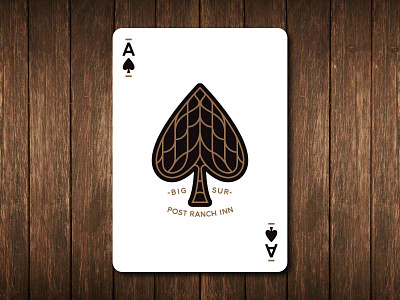 Ace of Spades ace black cards gold line playing side stroke
