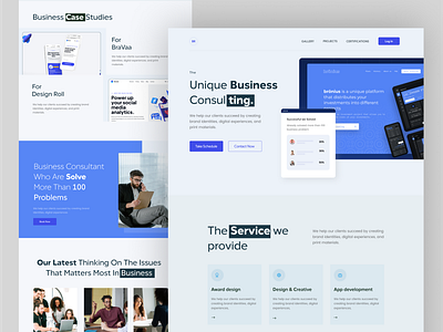 Business Consultant Landing Page