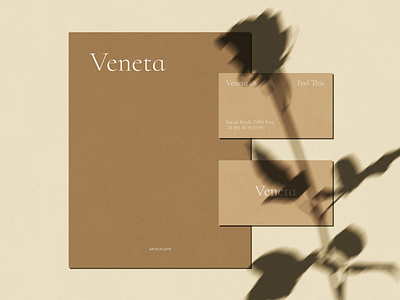 Veneta Shadow Mockup Scene Creator. Realistic Shadow Overlays aesthetic branding business cards design digital download editable graphic design mockup mockups mood board paper photoshop pre made scenes presentation print scene creator shadows stationary mockup templates