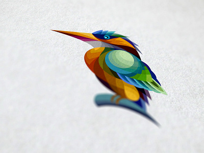 Kookaburra bird colour icon illustrator kookaburra texture viet nam