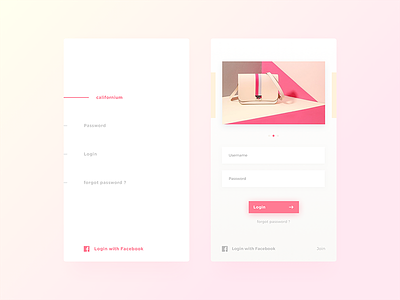 Left or Right ? app bag facebook fields gradient login mobile page pastel photo shadow slider