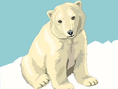 Polar bear design flatdesign flatposter illustration vector