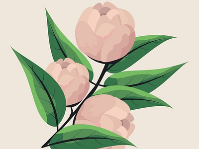 I Love Peonies design flatdesign flatposter illustration vector