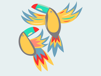 Parrots design flatdesign flatposter illustration