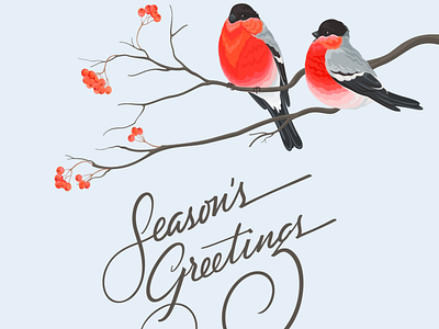 Season's greetings colors design flatdesign flatposter illustration vector