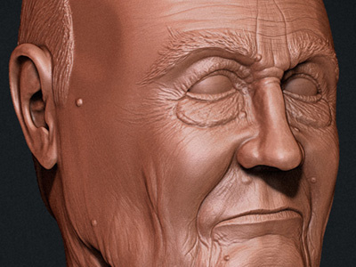 Old Man Bust 3d bust digital sculpt man model zbrush