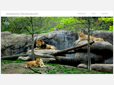 Landing Page dailyui landing landing page lions photography ui ui design webdesign wildlife