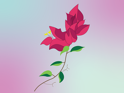 Flowers love_Illustration 02 graphic design illustrations