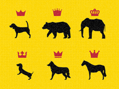 Your Majesty - more aminals design identity illustration logo