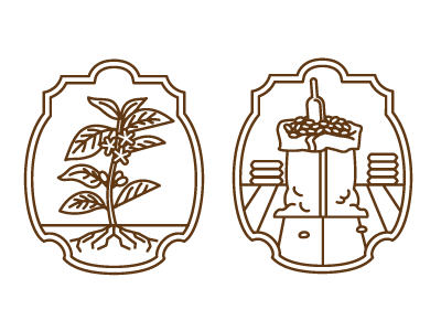Planting & Bagging coffee design illustration