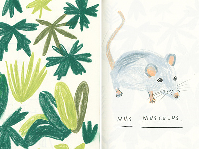 Plants and mouse in sketchbook hand drawn illustration pencil sketchbook