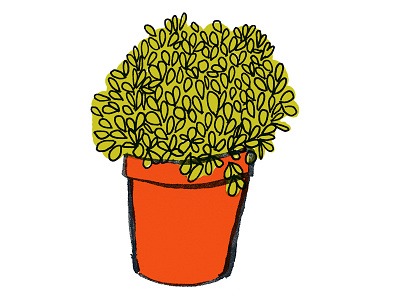 Lucky plant - Good Magazine digital hand drawn illustration ink plant