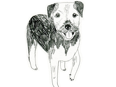 More doggies hand drawn illustration pencil sketchbook